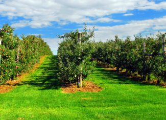 Picardy in a bottle: the best of gastronomy in Picardy special drinks